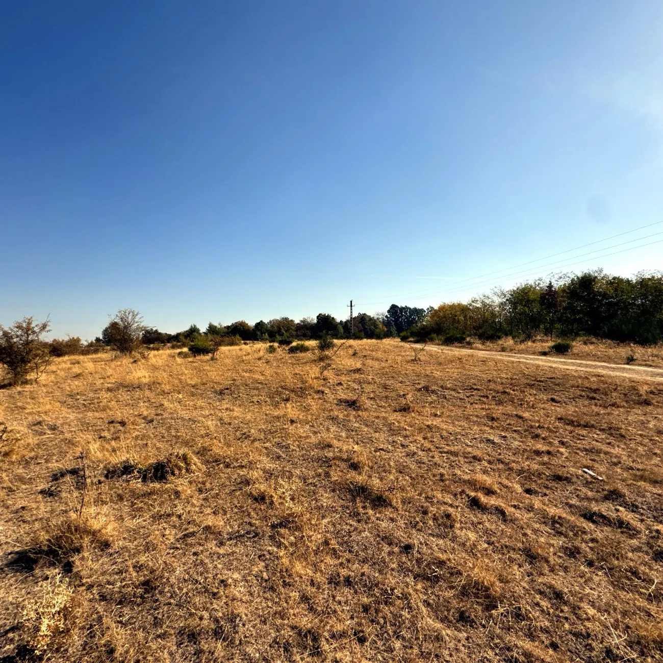 Open terrain at the RES1 parcel